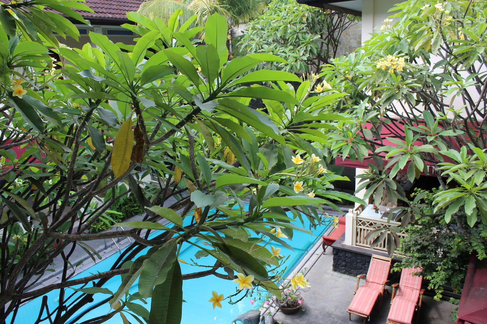 Hotel Indah Palace יוגיאקרטה מראה חיצוני תמונה